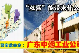 中央驻广东第1聚宝盆央企，广州韶关梅州湛江深圳5大卷烟厂有多强视频封面
