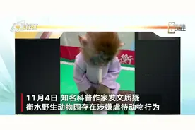 贵州衡水野生动物园让幼猴抽烟，园方回应：摆拍的公益段子视频封面