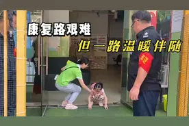 授人鱼不如授人以渔您做到了，谢谢豆豆的启蒙老师璐璐，感恩有你视频封面