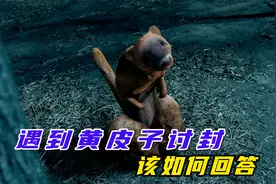 遇到黄皮子黄皮子讨封，我们该怎么回答才对呢？视频封面