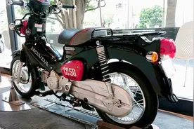 本田迷你小摩托，幼兽CC50，排量适中，高颜值易操控，代步神器