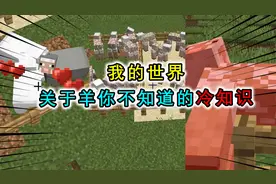 我的世界：关于羊你不知道的冷知识，长毛需要吃草，繁殖也很科学