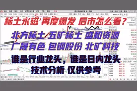 北方稀土 五矿系统 广晟 盛和资源 北矿 谁是行业龙头谁更有潜力视频封面