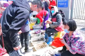 实拍天津北塘码头买海鲜，皮皮虾35元1斤，黄满肉多，超级肥美！视频封面