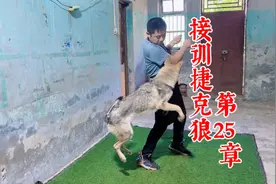 怎么训练狗狗吠叫？农村小伙教你一招，在玩耍的过程中也能教学