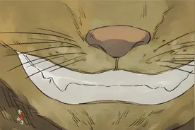 这是我见过最下流的黄鼠狼，每晚偷偷溜进少女闺房，只为一亲芳泽视频封面