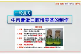 高中生物选修一~牛肉膏蛋白胨培养基的制作
