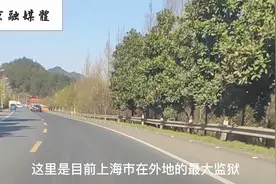 上海市白茅岭农场坐落在安徽，你了解这是怎么回事吗？