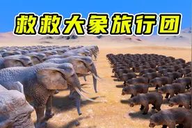 100头非洲象组团旅行，半路遭到棕熊袭击，大象们能化险为夷吗？