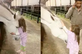 美国小萌娃抚摸、亲吻与马亲密互动 母亲拍下有爱瞬间视频封面