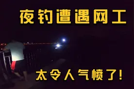 夜钓心碎的一幕，市区河道电工网工无法无天，无奈对方人多不敢劝视频封面