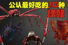 公认“最好吃”的10种螃蟹，爱吃蟹子的不要错过，你吃过哪几种？视频封面