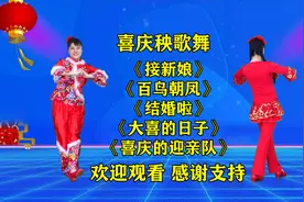 婚庆唢呐曲《百鸟朝凤》《结婚啦》《接新娘》《大喜的日子》