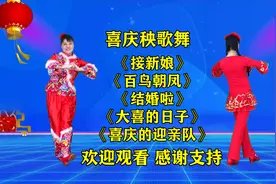 婚庆唢呐曲《百鸟朝凤》《结婚啦》《接新娘》《大喜的日子》