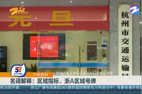 名词解释：区域指标、浙A区域号牌