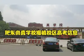 肥东义和尚真学校撮镇校区高考信息校园内公示点评视频封面