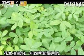 我爱返寻味：放石灰可以让花生防虫？一起来看看咋弄的视频封面