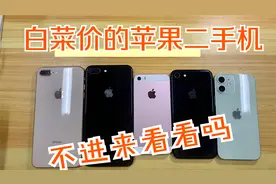 为什么我推荐这些iPhone做备用机？能诱惑到你吗?