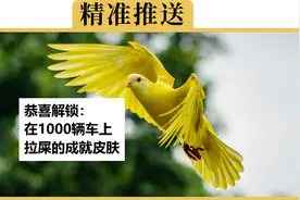 为什么鸟喜欢往白车上拉黑屎，黑车上拉白屎视频封面