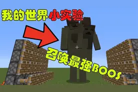 我的世界：召唤最强BOOS
