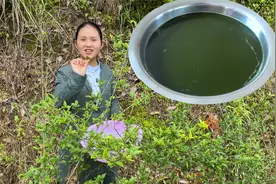 用这种叶子做豆腐，一可第一次看到，迫不及待想吃视频封面