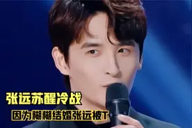 王栎鑫婚礼上，吉杰对张远做了这事，苏醒和他冷战了两个月！视频封面
