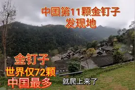中国发现第11颗金钉子，这枚钉在贵州，世界仅72颗，中国数量最多