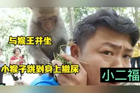与猴王并坐，被一只小猴子爬到身上，撒了两泡尿视频封面