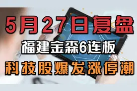 碳中和龙头福建金森6连板，科技股爆发涨停潮，持续性如何？视频封面
