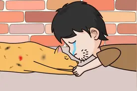 狗狗大黄为了救主人，已经拼尽了全力视频封面