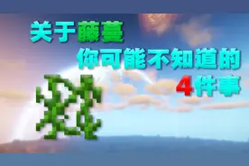 我的世界：关于藤蔓你可能不知道的事，点进来你就知道了。