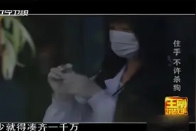 花钱救狗无异于饮鸩止渴，后续问题会越来越多丨王刚讲故事视频封面