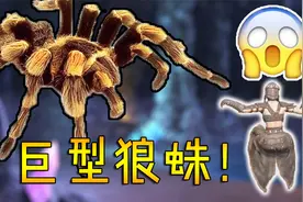 巨型狼蛛BOSS《流放者柯南》服务器生存05