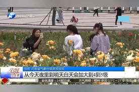 河南五一温度过山车，云台山景区突下冰雹，游客防砸出“奇招”！视频封面