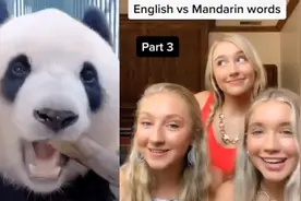 老外美女说中文能有多好听？古风美食中国话席卷国外社交平台视频封面