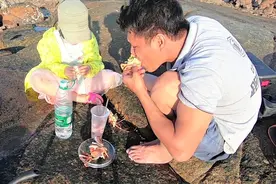 阿明带女儿到海边捡螺，竟抓到大龙虾，父女两直接当场煮了尝尝鲜视频封面