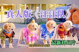 老外竟然把汪汪队拍成了真人版电影，揭秘了汪汪队诞生的真实原因视频封面
