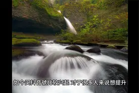 抖音的荣誉等级高了有什么特权吗