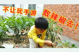 7岁儿子要玩手机游戏，爸爸想出一招，让儿子找到新乐趣！