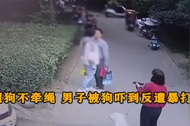 遛狗不牵绳，男子被狗吓到反遭打，狗主人：给我家狗道歉！纪录片