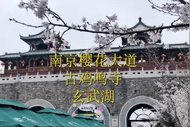 鸡鸣寺玄武湖“寻柳赏樱”一日深度游宝典，收藏！