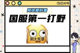 【国服第一打野】是什么梗？