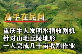 重庆牛人发明水稻收割机，专门针对山地丘陵，农业专家赞叹不已视频封面