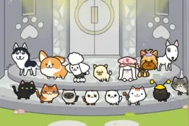 寻找米加小猫小狗