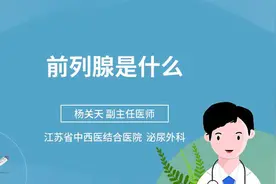 前列腺是什么