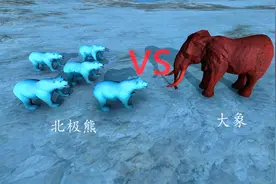 五头北极熊平原上跟大象决斗，能不能以多胜少，结局没有想到