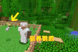 我的世界65！我在野外驯化了一只鹦鹉，今后它就是我的宠物鸟了
