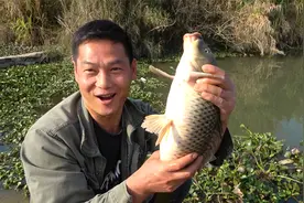 十多斤玉米面打窝，隔天阿琪野河开钓一竿接一竿上鱼甩到爆，过瘾视频封面