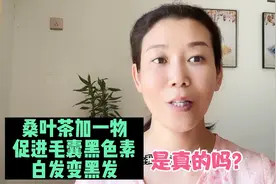 桑叶茶加一物促进毛囊黑色素，白发变黑发，是真的吗？