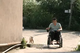 荆检故事汇：《轮椅上的新生》视频封面